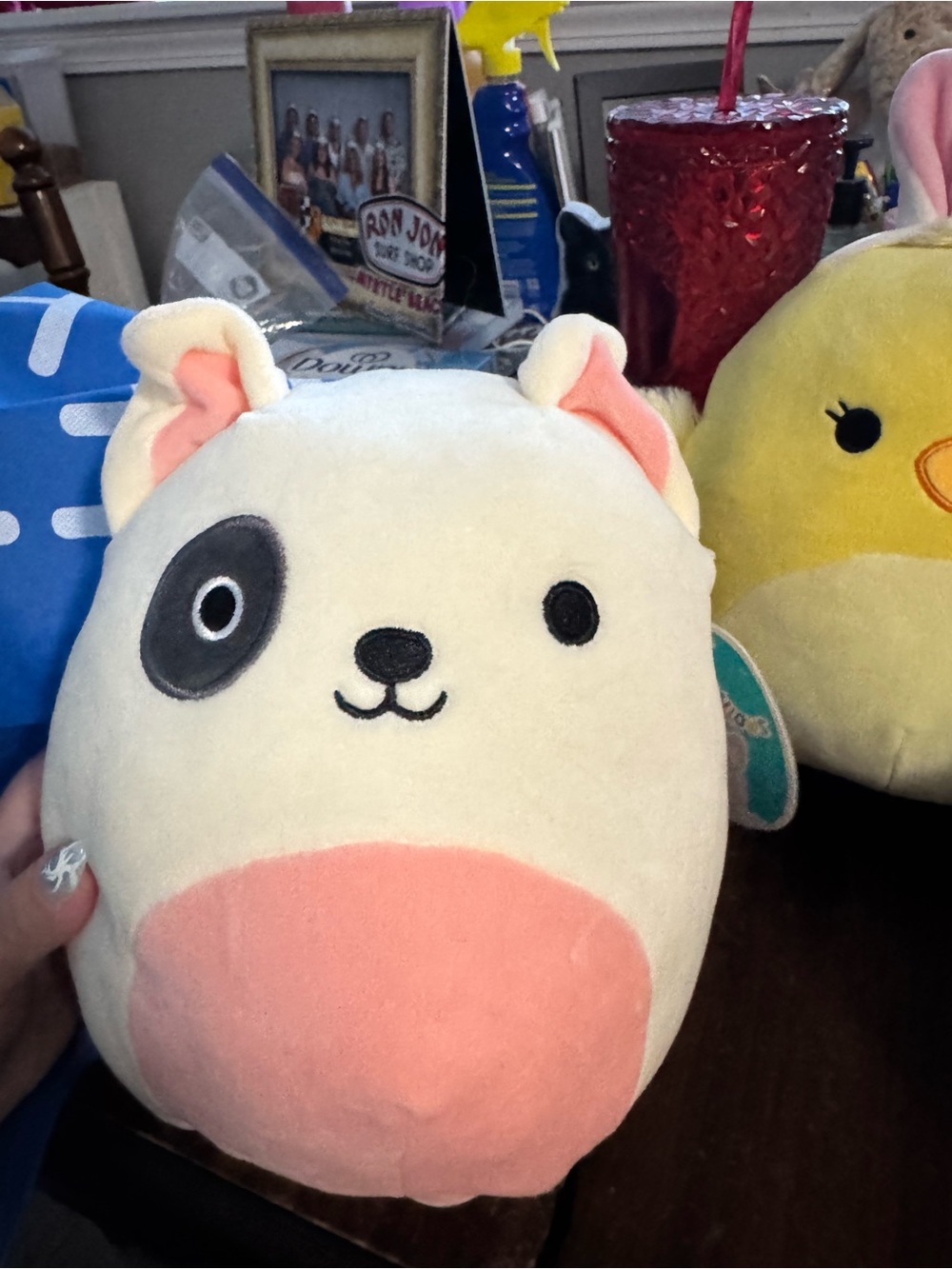 Charlie dog squishmallow